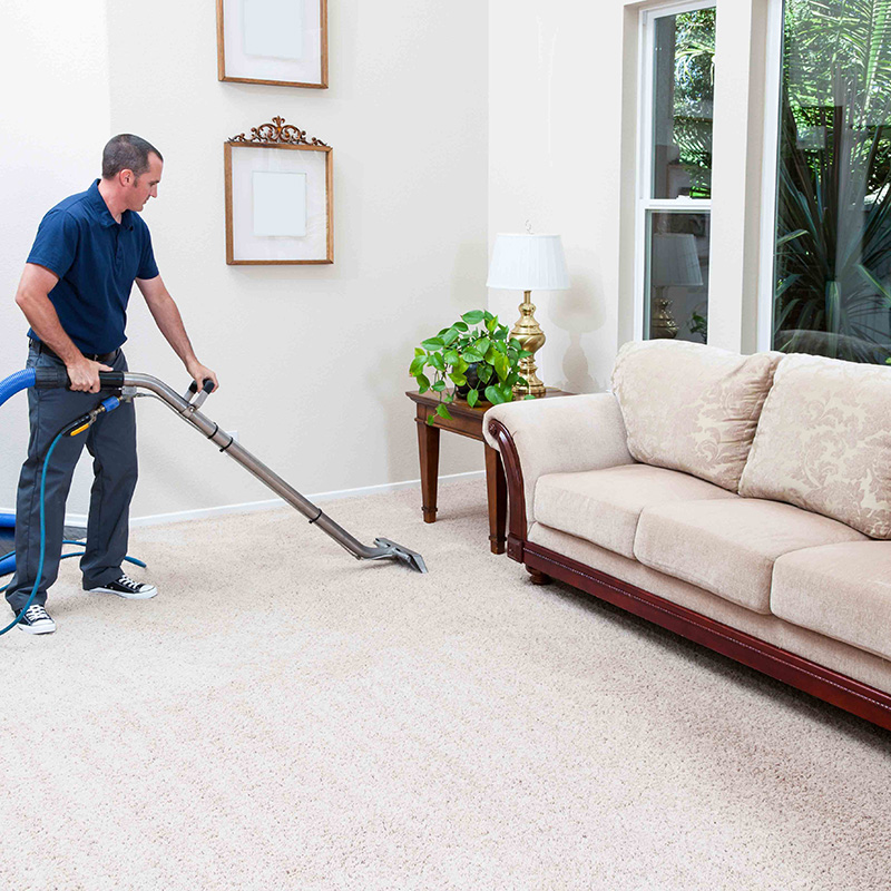 Professional carpet cleaning