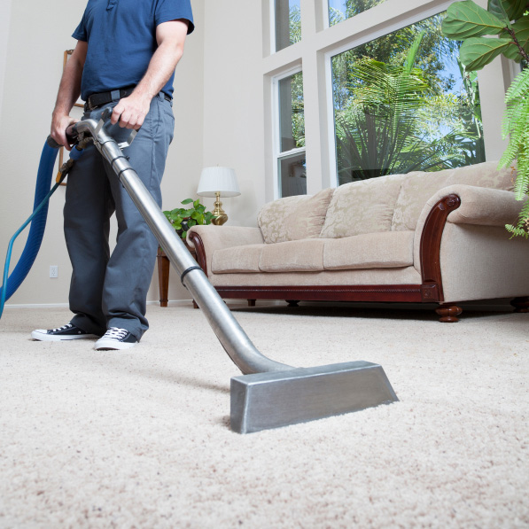 Steam carpet cleaning services