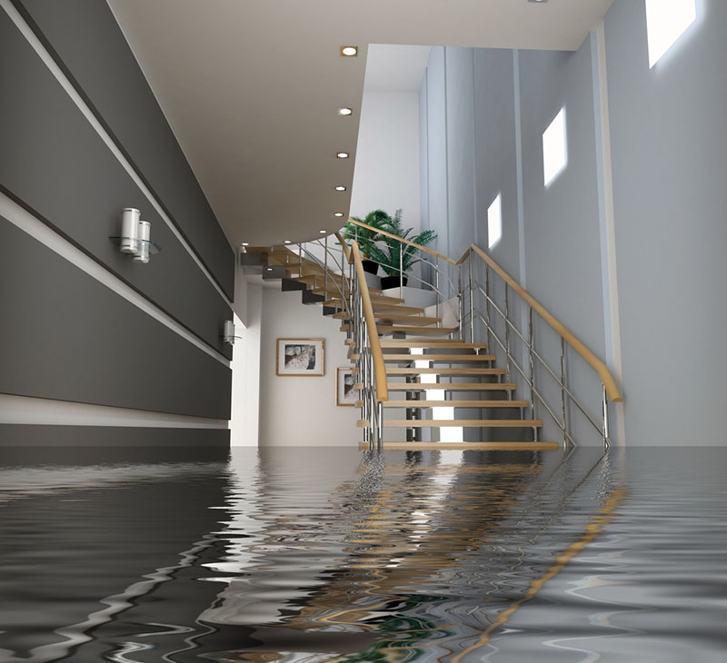 Water damage & water cleanup experts