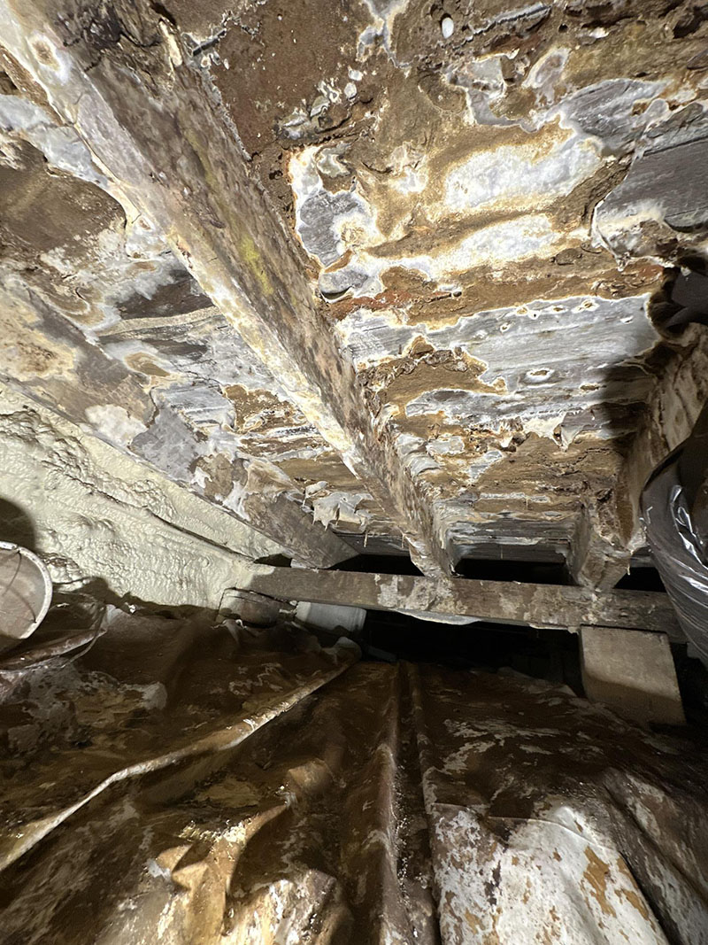Mold contaminated wood joists discovered during crawlspace inspection in Bloomington Indiana
