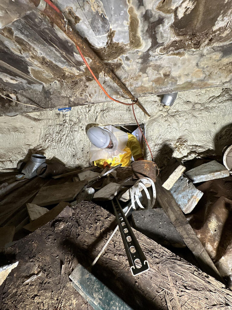 Techician Removing Mold