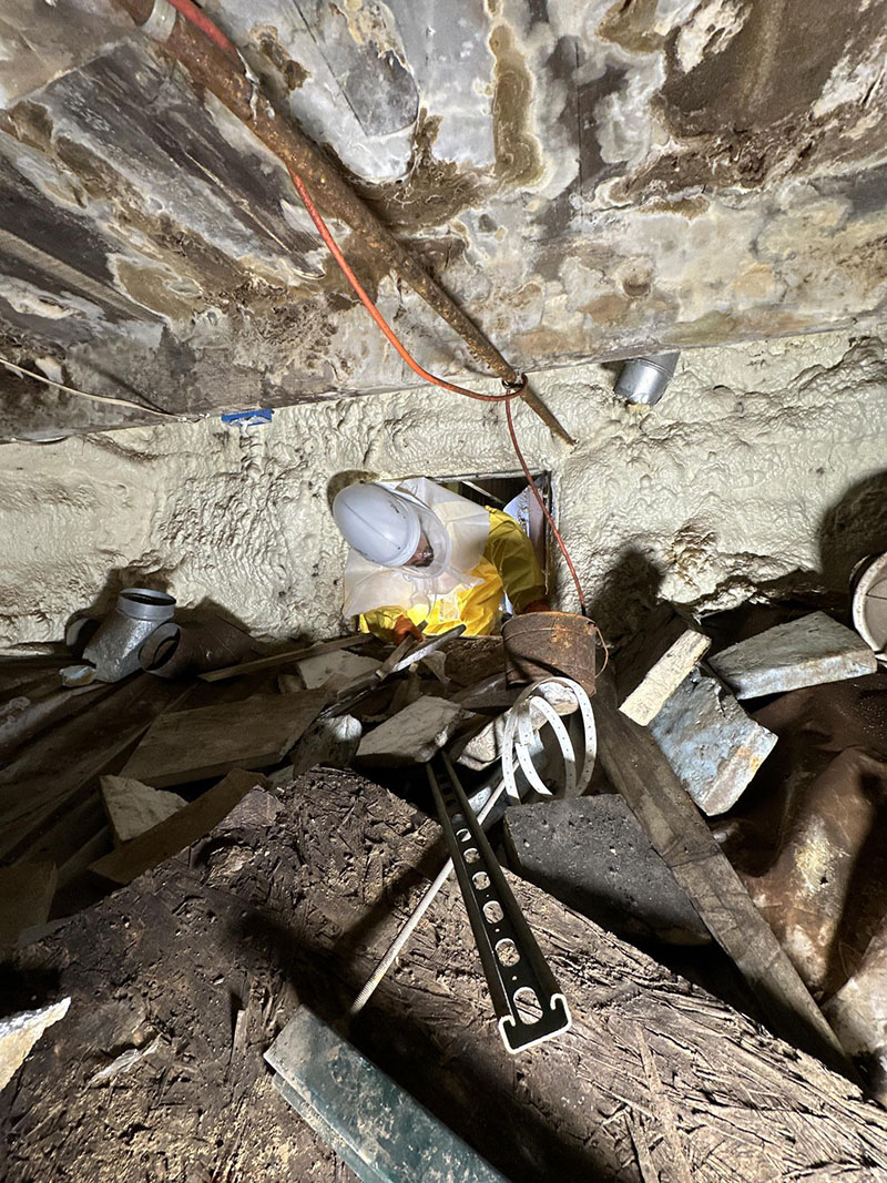 Technician actively removing mold from crawlspace wood framing during remediation