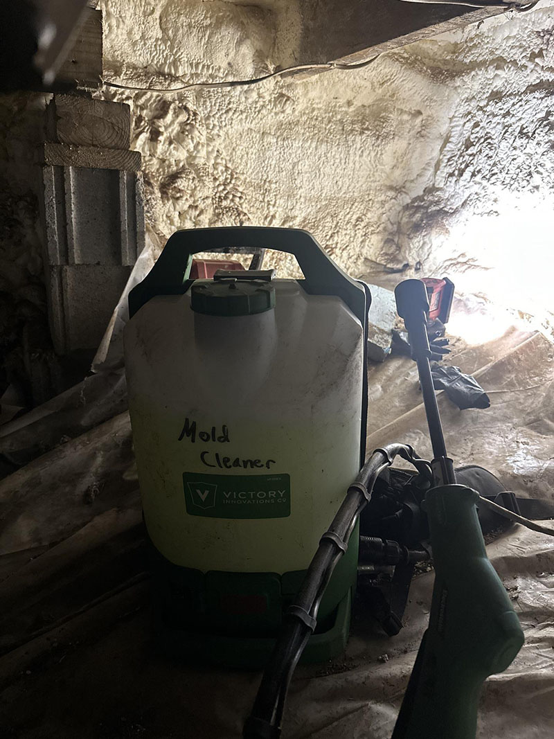 Industrial grade mold cleaning solution applied to crawlspace surfaces during remediation