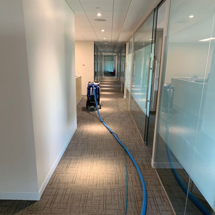 Commercial Carpet Cleaning Hospitality and Hotels