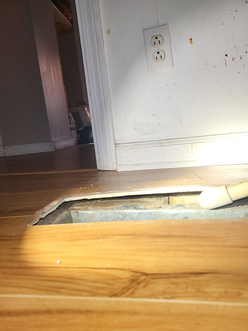 Hidden mold growth discovered under bedroom flooring during water damage inspection in Bloomington IN
