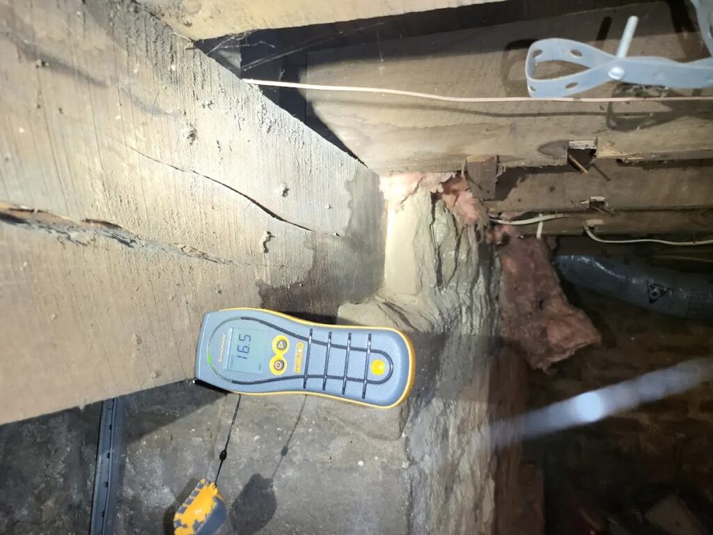 moisture meter water damage inspection - Water Pro Inc Bloomington IN