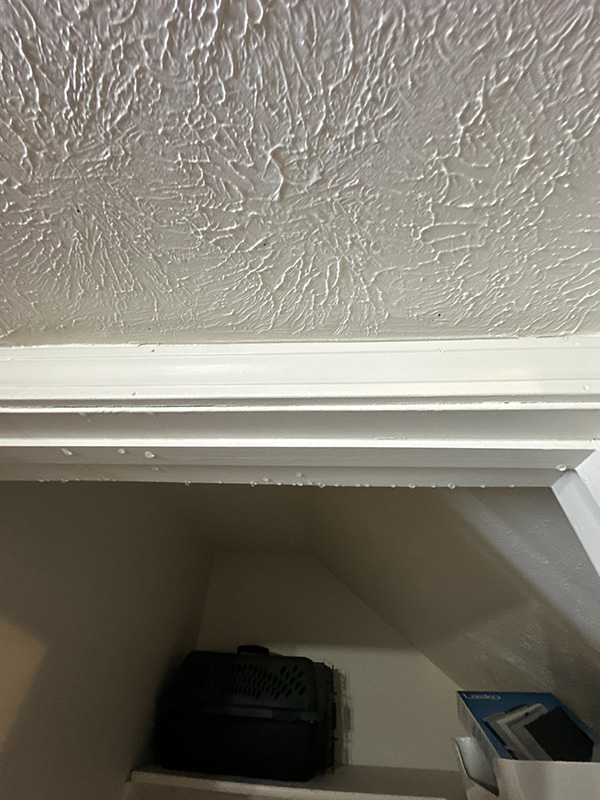 Water Dripping From Basement Ceiling Trim