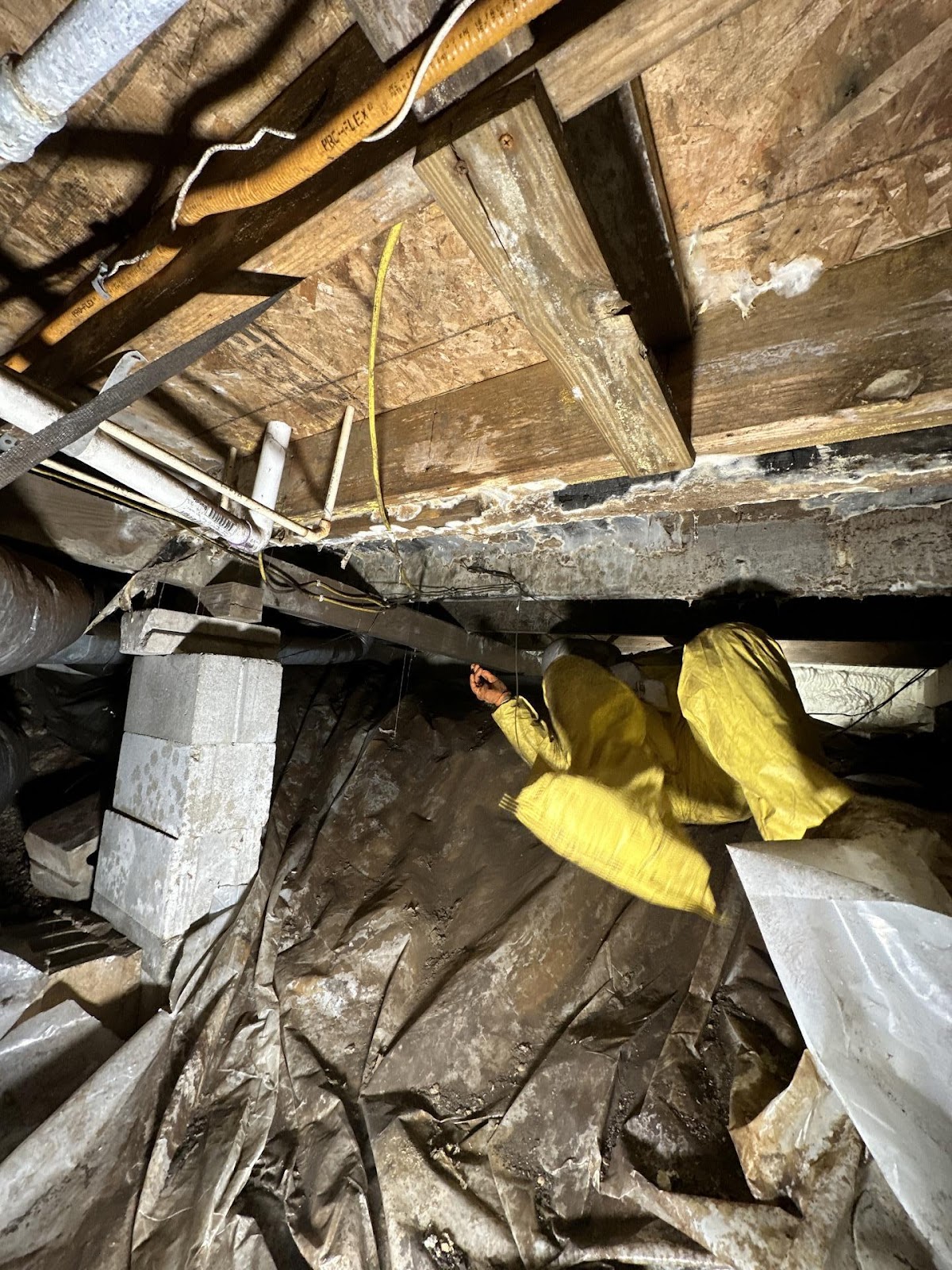 Mold growth on wood joists discovered during water damage restoration in Bloomington Indiana