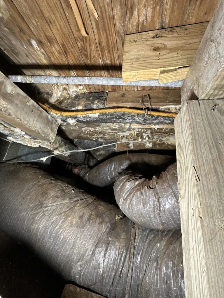 Crawlspace structural inspection revealing water damage requiring restoration in Bloomington Indiana